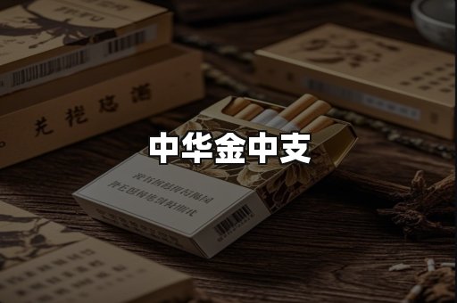 中华金中支